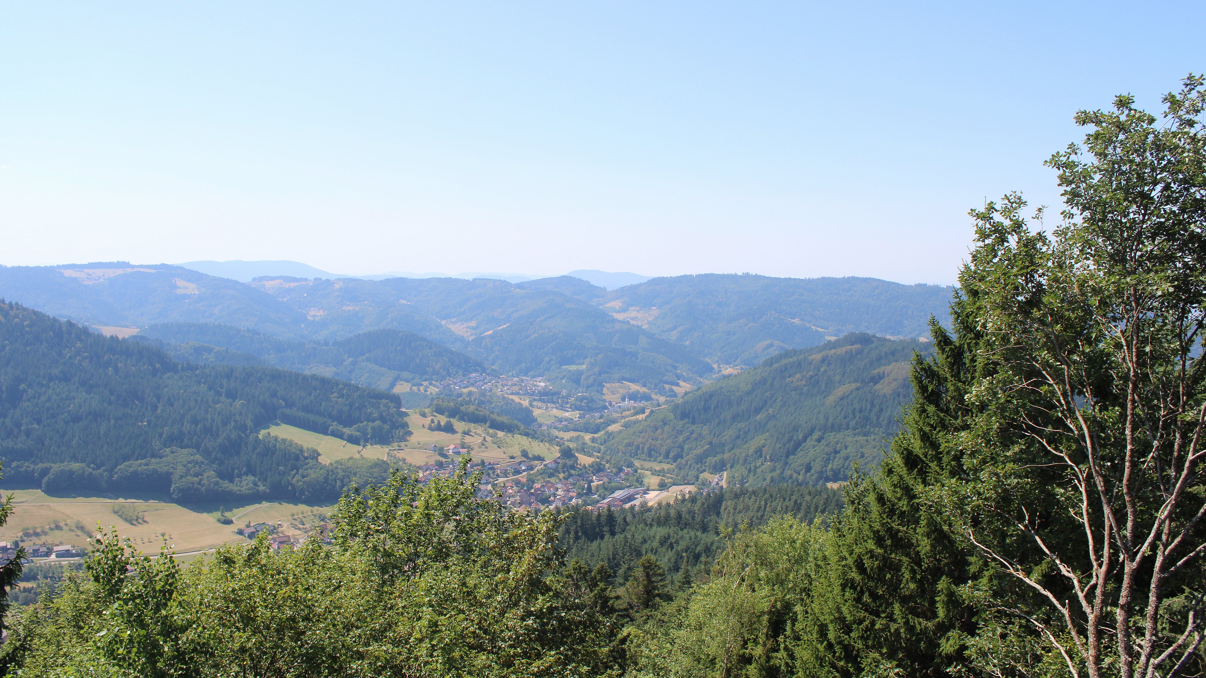 Zum Fotoarchiv vom Dienstag, 11. August 2026