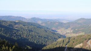 Dieses Bild zeigt eine Webcam-Aufnahme vom Achertal, aufgenommen am Freitag, den 27.02.2026 um 09:00 Uhr. Die Temperatur betrug 11.3°C.