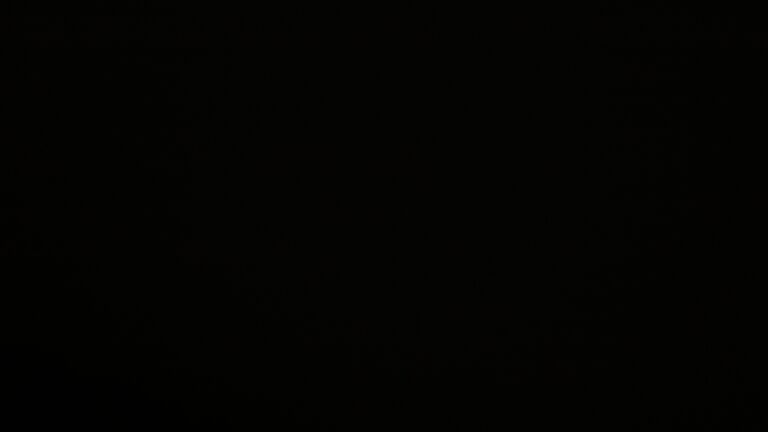 Dieses Bild zeigt eine Webcam-Aufnahme vom Achertal, aufgenommen am Montag, den 03.11.2025 um 05:00 Uhr. Die Temperatur betrug 2.3°C.