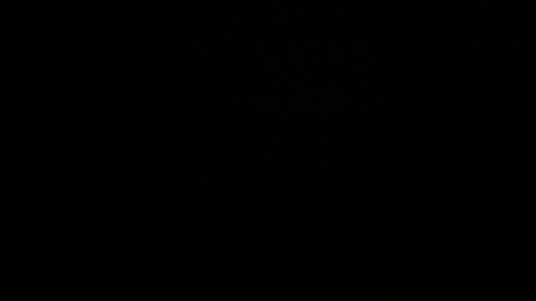 Dieses Bild zeigt eine Webcam-Aufnahme vom Achertal, aufgenommen am Sonntag, den 16.11.2025 um 22:00 Uhr. Die Temperatur betrug 6°C.