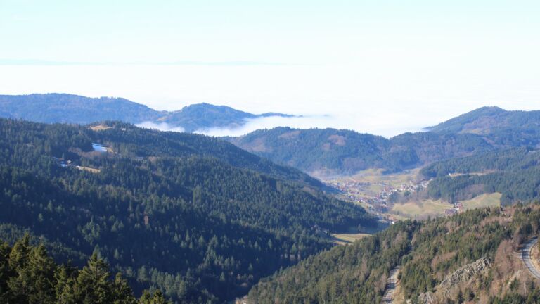 Dieses Bild zeigt eine Webcam-Aufnahme vom Achertal, aufgenommen am Sonntag, den 08.02.2026 um 12:20 Uhr. Die Temperatur betrug 4.6°C.