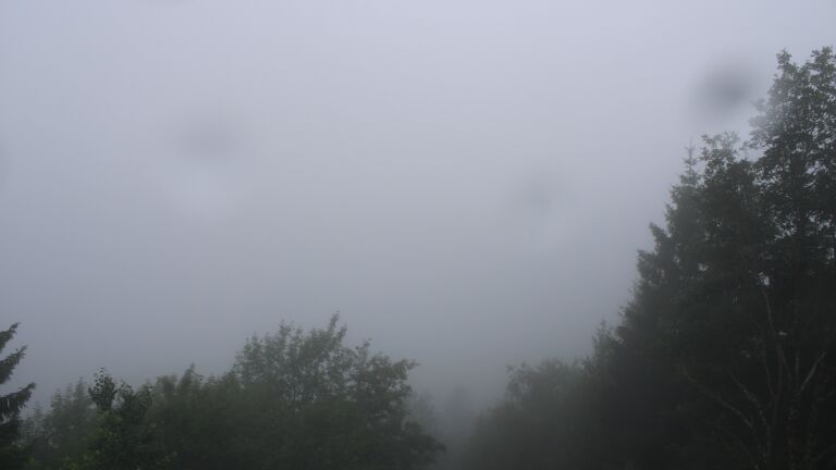 Dieses Bild zeigt eine Webcam-Aufnahme vom Achertal, aufgenommen am Mittwoch, den 01.07.2026 um 07:40 Uhr. Die Temperatur betrug 16.7°C.