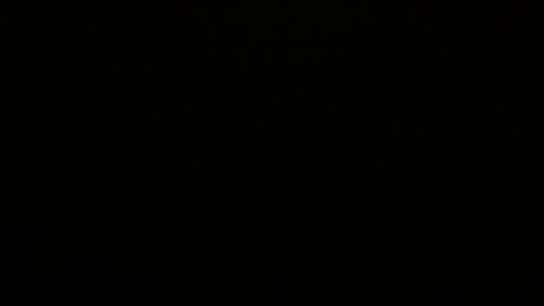 Dieses Bild zeigt eine Webcam-Aufnahme vom Achertal, aufgenommen am Mittwoch, den 24.09.2025 um 23:00 Uhr. Die Temperatur betrug 4.9°C.
