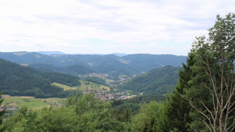 Dieses Bild zeigt eine Webcam-Aufnahme vom Achertal, aufgenommen am Mittwoch, den 08.07.2026 um 12:40 Uhr. Die Temperatur betrug 24.3°C.