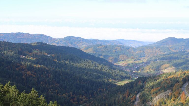 Dieses Bild zeigt eine Webcam-Aufnahme vom Achertal, aufgenommen am Donnerstag, den 16.10.2025 um 11:30 Uhr. Die Temperatur betrug 10.6°C.