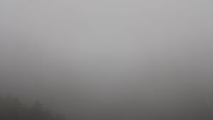 Dieses Bild zeigt eine Webcam-Aufnahme vom Achertal, aufgenommen am Dienstag, den 05.05.2026 um 19:10 Uhr. Die Temperatur betrug 8.1°C.