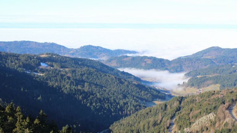 Dieses Bild zeigt eine Webcam-Aufnahme vom Achertal, aufgenommen am Donnerstag, den 05.02.2026 um 10:30 Uhr. Die Temperatur betrug 7.6°C.