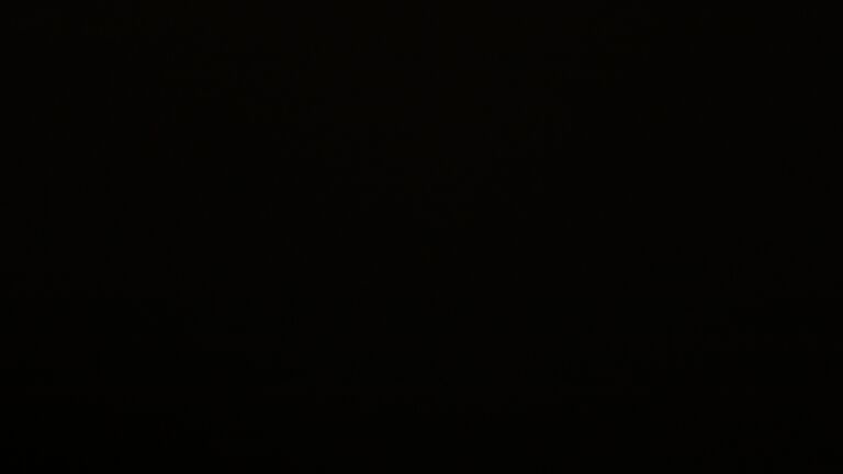 Dieses Bild zeigt eine Webcam-Aufnahme vom Achertal, aufgenommen am Montag, den 03.11.2025 um 05:30 Uhr. Die Temperatur betrug 2.3°C.