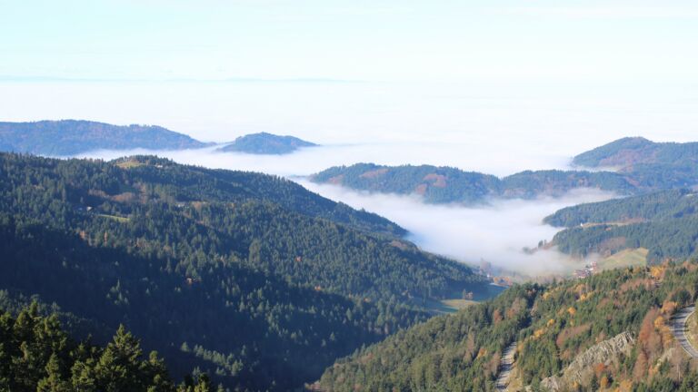 Dieses Bild zeigt eine Webcam-Aufnahme vom Achertal, aufgenommen am Samstag, den 08.11.2025 um 11:00 Uhr. Die Temperatur betrug 12°C.