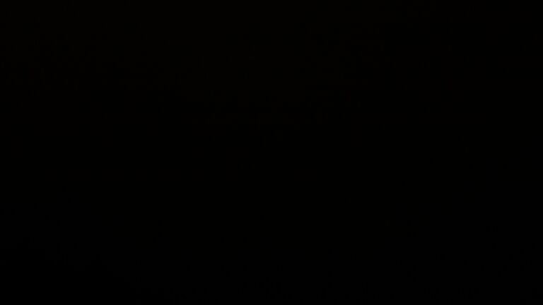 Dieses Bild zeigt eine Webcam-Aufnahme vom Achertal, aufgenommen am Donnerstag, den 07.05.2026 um 00:30 Uhr. Die Temperatur betrug 4.6°C.