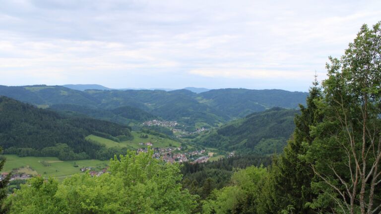 Dieses Bild zeigt eine Webcam-Aufnahme vom Achertal, aufgenommen am Mittwoch, den 13.05.2026 um 11:20 Uhr. Die Temperatur betrug 7.7°C.
