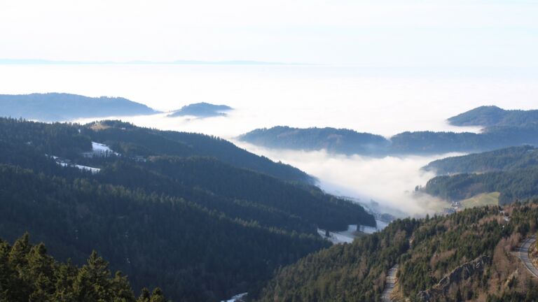 Dieses Bild zeigt eine Webcam-Aufnahme vom Achertal, aufgenommen am Dienstag, den 20.01.2026 um 14:50 Uhr. Die Temperatur betrug 11.7°C.