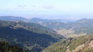 Dieses Bild zeigt eine Webcam-Aufnahme vom Achertal, aufgenommen am Sonntag, den 01.03.2026 um 10:00 Uhr. Die Temperatur betrug 4.8°C.