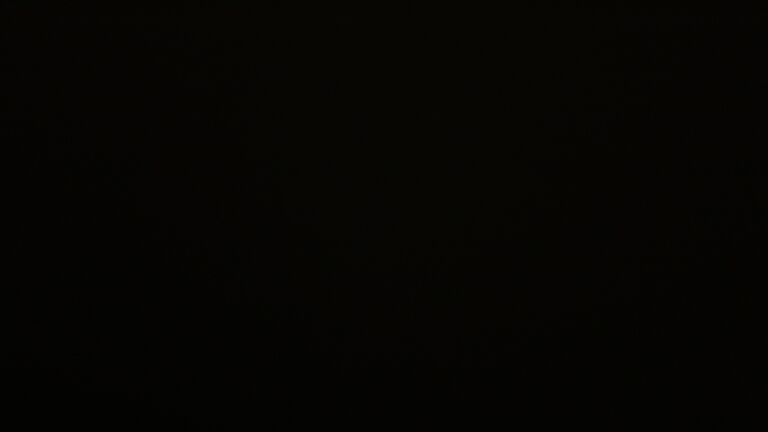 Dieses Bild zeigt eine Webcam-Aufnahme vom Achertal, aufgenommen am Dienstag, den 25.11.2025 um 19:30 Uhr. Die Temperatur betrug -0.4°C.