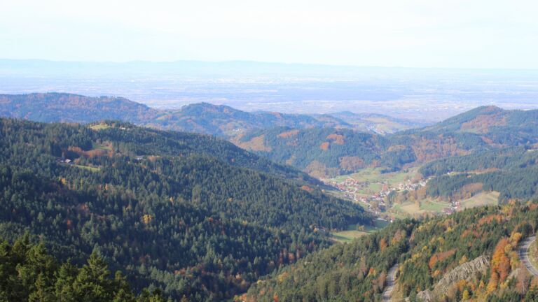 Dieses Bild zeigt eine Webcam-Aufnahme vom Achertal, aufgenommen am Mittwoch, den 29.10.2025 um 10:50 Uhr. Die Temperatur betrug 13°C.