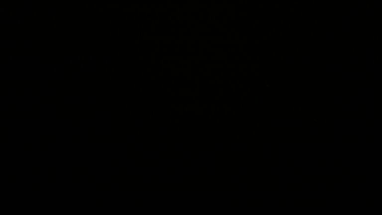 Dieses Bild zeigt eine Webcam-Aufnahme vom Achertal, aufgenommen am Mittwoch, den 24.09.2025 um 01:30 Uhr. Die Temperatur betrug 5.3°C.