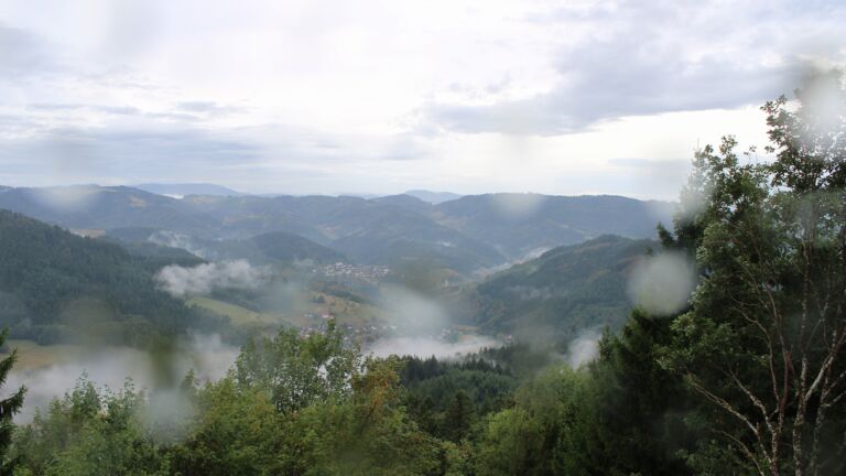Dieses Bild zeigt eine Webcam-Aufnahme vom Achertal, aufgenommen am Freitag, den 28.08.2026 um 11:00 Uhr. Die Temperatur betrug 17.7°C.