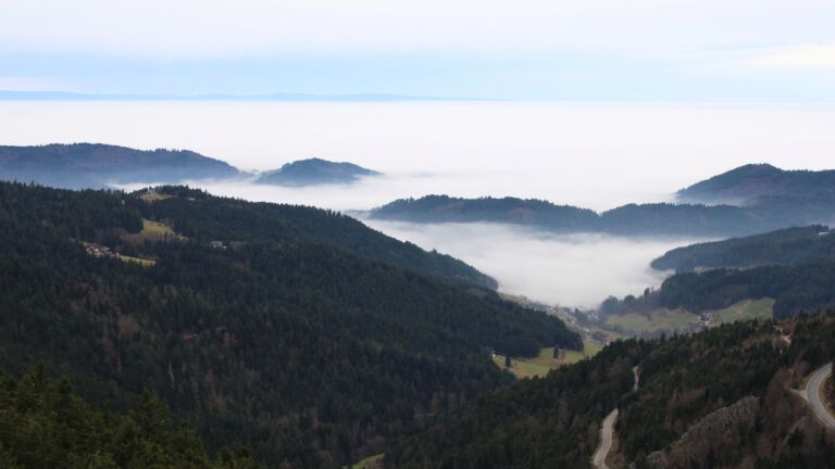 Dieses Bild zeigt eine Webcam-Aufnahme vom Achertal, aufgenommen am Dienstag, den 16.12.2025 um 11:50 Uhr. Die Temperatur betrug 11°C.