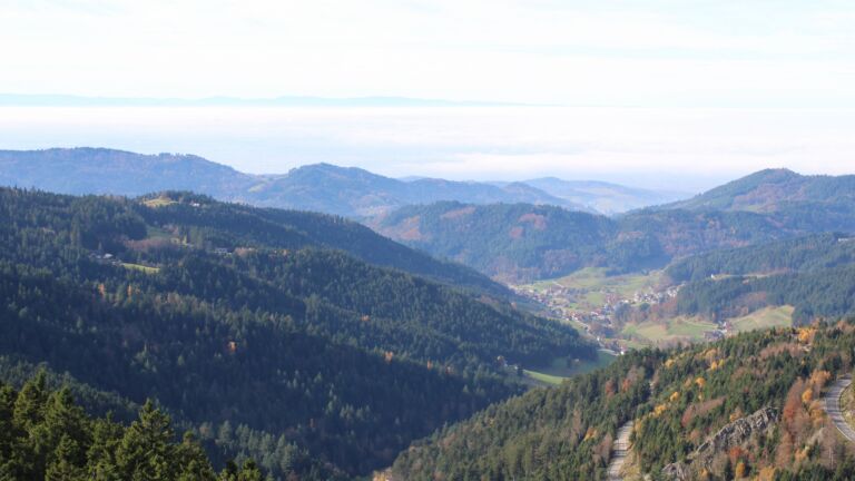 Dieses Bild zeigt eine Webcam-Aufnahme vom Achertal, aufgenommen am Donnerstag, den 06.11.2025 um 12:50 Uhr. Die Temperatur betrug 13°C.