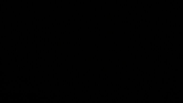 Dieses Bild zeigt eine Webcam-Aufnahme vom Achertal, aufgenommen am Sonntag, den 22.02.2026 um 04:30 Uhr. Die Temperatur betrug 3.9°C.