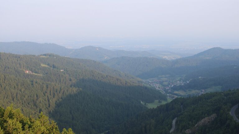 Dieses Bild zeigt eine Webcam-Aufnahme vom Achertal, aufgenommen am Dienstag, den 10.06.2025 um 06:40 Uhr. Die Temperatur betrug 11.5°C.