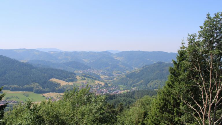 Dieses Bild zeigt eine Webcam-Aufnahme vom Achertal, aufgenommen am Montag, den 22.06.2026 um 12:00 Uhr. Die Temperatur betrug 29.6°C.