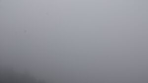 Dieses Bild zeigt eine Webcam-Aufnahme vom Achertal, aufgenommen am Samstag, den 29.11.2025 um 11:30 Uhr. Die Temperatur betrug 4.7°C.