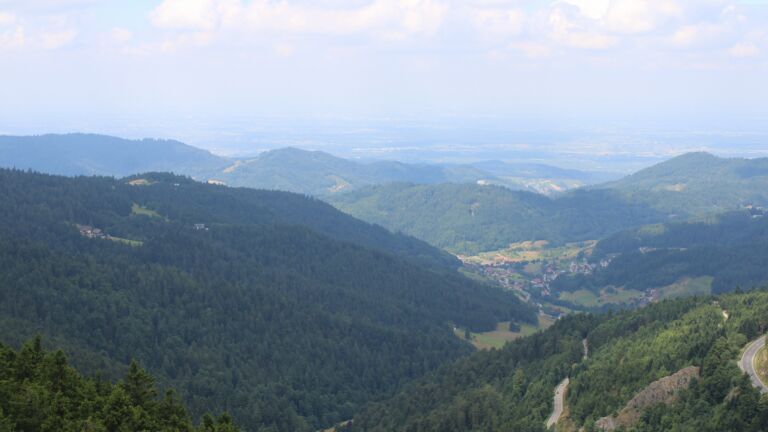 Dieses Bild zeigt eine Webcam-Aufnahme vom Achertal, aufgenommen am Freitag, den 11.07.2025 um 12:10 Uhr. Die Temperatur betrug 16.3°C.
