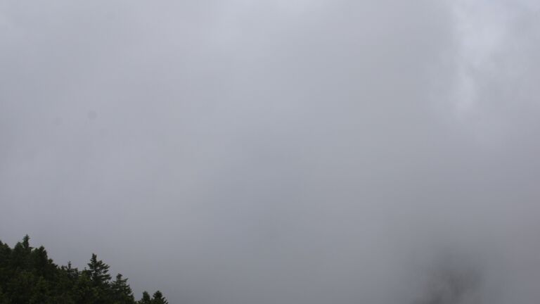 Dieses Bild zeigt eine Webcam-Aufnahme vom Achertal, aufgenommen am Montag, den 02.06.2025 um 10:30 Uhr. Die Temperatur betrug 14.2°C.