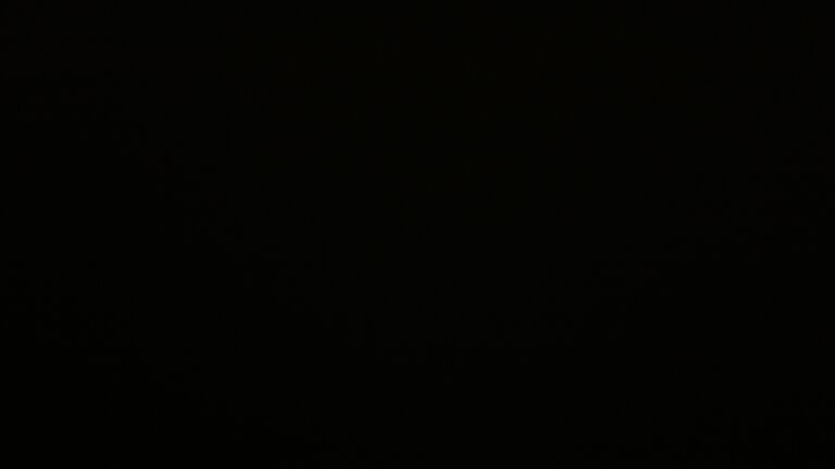 Dieses Bild zeigt eine Webcam-Aufnahme vom Achertal, aufgenommen am Donnerstag, den 21.08.2025 um 04:30 Uhr. Die Temperatur betrug 13°C.