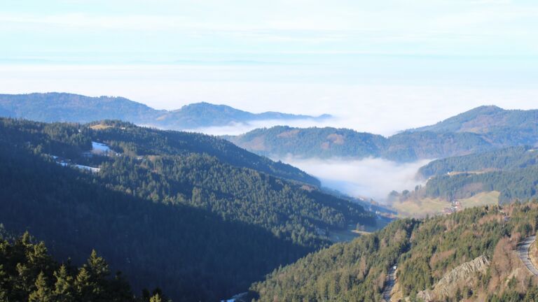 Dieses Bild zeigt eine Webcam-Aufnahme vom Achertal, aufgenommen am Freitag, den 23.01.2026 um 11:10 Uhr. Die Temperatur betrug 6.2°C.