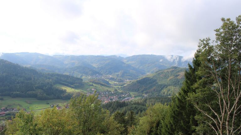 Dieses Bild zeigt eine Webcam-Aufnahme vom Achertal, aufgenommen am Mittwoch, den 14.10.2026 um 11:40 Uhr. Die Temperatur betrug 15.6°C.