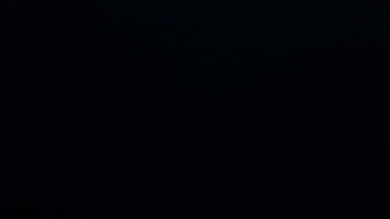 Dieses Bild zeigt eine Webcam-Aufnahme vom Achertal, aufgenommen am Montag, den 16.06.2025 um 04:10 Uhr. Die Temperatur betrug 10°C.