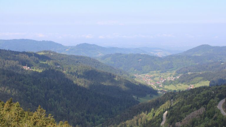 Dieses Bild zeigt eine Webcam-Aufnahme vom Achertal, aufgenommen am Freitag, den 08.05.2026 um 11:20 Uhr. Die Temperatur betrug 11.8°C.