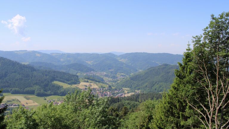 Dieses Bild zeigt eine Webcam-Aufnahme vom Achertal, aufgenommen am Mittwoch, den 27.05.2026 um 11:30 Uhr. Die Temperatur betrug 26.1°C.