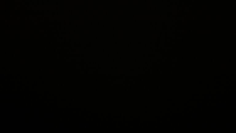 Dieses Bild zeigt eine Webcam-Aufnahme vom Achertal, aufgenommen am Montag, den 24.11.2025 um 05:50 Uhr. Die Temperatur betrug 1°C.