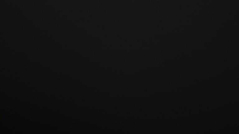 Dieses Bild zeigt eine Webcam-Aufnahme vom Achertal, aufgenommen am Montag, den 03.11.2025 um 00:00 Uhr. Die Temperatur betrug 2.9°C.