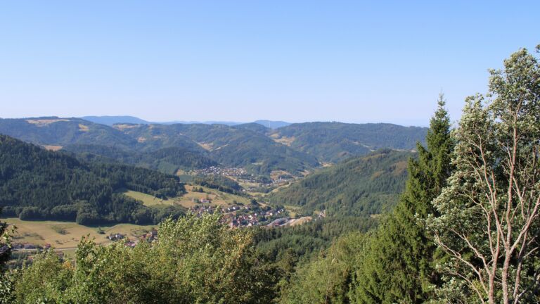 Dieses Bild zeigt eine Webcam-Aufnahme vom Achertal, aufgenommen am Mittwoch, den 12.08.2026 um 10:30 Uhr. Die Temperatur betrug 26.8°C.