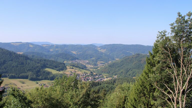 Dieses Bild zeigt eine Webcam-Aufnahme vom Achertal, aufgenommen am Mittwoch, den 29.07.2026 um 10:30 Uhr. Die Temperatur betrug 28.7°C.