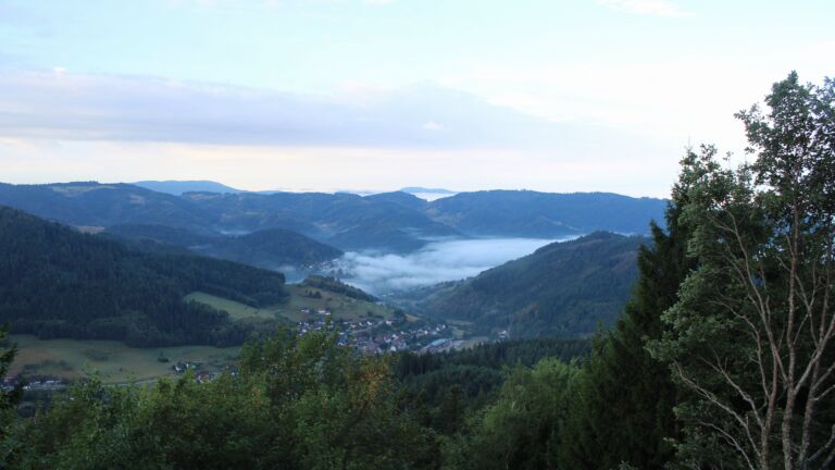 Dieses Bild zeigt eine Webcam-Aufnahme vom Achertal, aufgenommen am Mittwoch, den 26.08.2026 um 07:50 Uhr. Die Temperatur betrug 16.6°C.