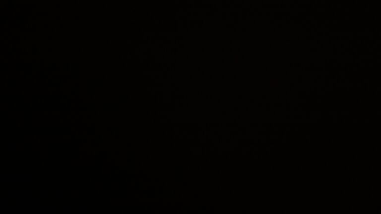 Dieses Bild zeigt eine Webcam-Aufnahme vom Achertal, aufgenommen am Freitag, den 29.08.2025 um 01:30 Uhr. Die Temperatur betrug 11.9°C.