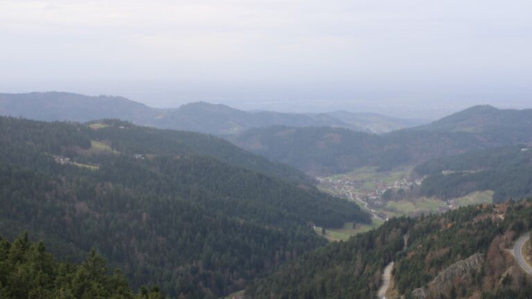 Dieses Bild zeigt eine Webcam-Aufnahme vom Achertal, aufgenommen am Samstag, den 15.11.2025 um 13:10 Uhr. Die Temperatur betrug 11.4°C.