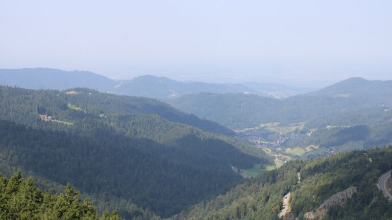Dieses Bild zeigt eine Webcam-Aufnahme vom Achertal, aufgenommen am Freitag, den 15.08.2025 um 11:10 Uhr. Die Temperatur betrug 29°C.