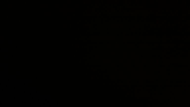 Dieses Bild zeigt eine Webcam-Aufnahme vom Achertal, aufgenommen am Donnerstag, den 12.02.2026 um 02:30 Uhr. Die Temperatur betrug 3.2°C.