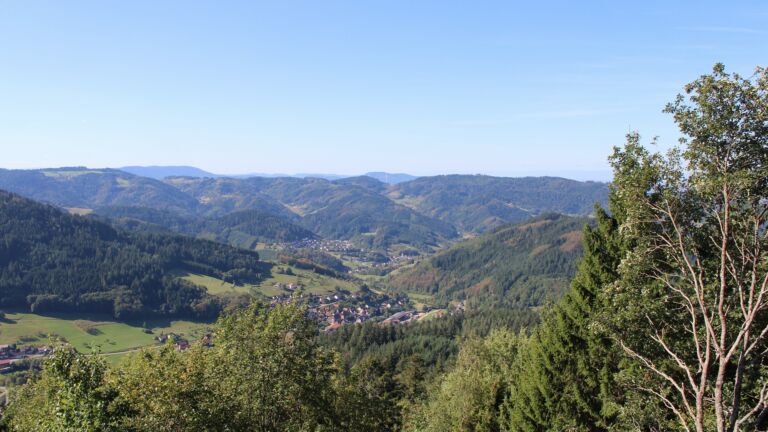 Dieses Bild zeigt eine Webcam-Aufnahme vom Achertal, aufgenommen am Samstag, den 12.09.2026 um 11:00 Uhr. Die Temperatur betrug 22.4°C.