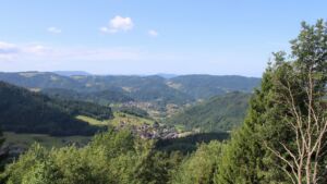 Dieses Bild zeigt eine Webcam-Aufnahme vom Achertal, aufgenommen am Montag, den 20.07.2026 um 10:50 Uhr. Die Temperatur betrug 17.1°C.