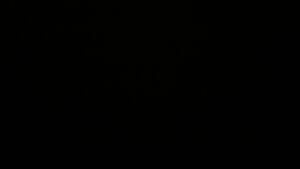 Dieses Bild zeigt eine Webcam-Aufnahme vom Achertal, aufgenommen am Montag, den 24.11.2025 um 02:00 Uhr. Die Temperatur betrug 0.9°C.