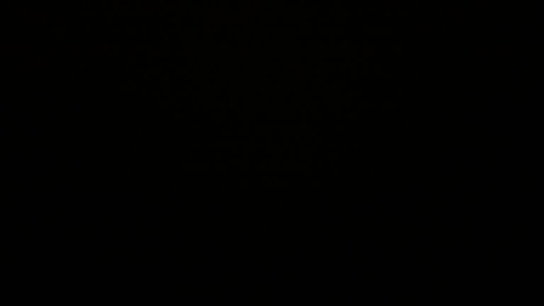 Dieses Bild zeigt eine Webcam-Aufnahme vom Achertal, aufgenommen am Montag, den 24.11.2025 um 02:00 Uhr. Die Temperatur betrug 0.9°C.