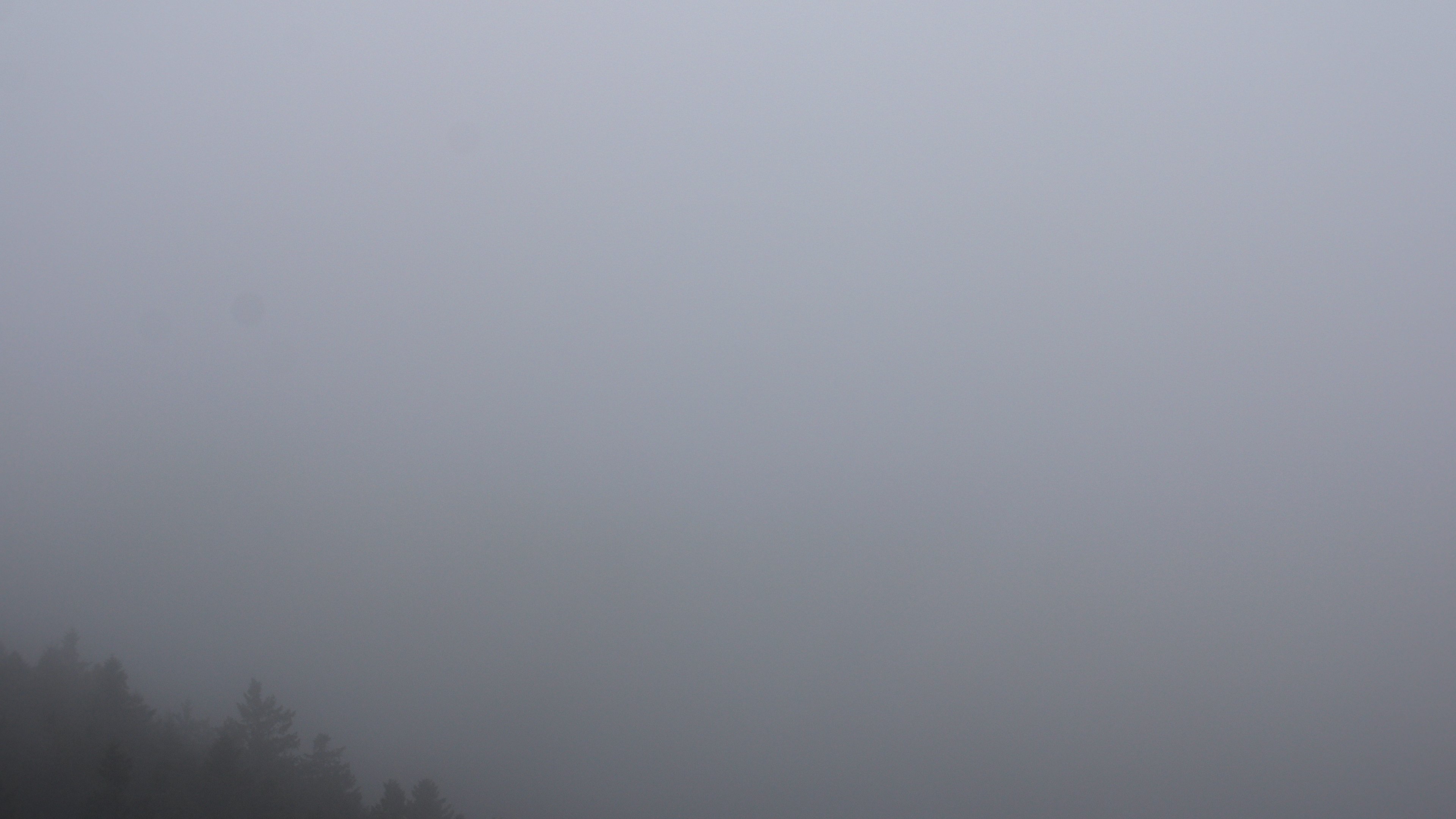 Zum Fotoarchiv vom Samstag, 6. Dezember 2025