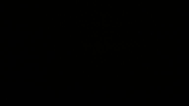 Dieses Bild zeigt eine Webcam-Aufnahme vom Achertal, aufgenommen am Freitag, den 24.10.2025 um 06:10 Uhr. Die Temperatur betrug -0.3°C.